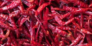 Red Dry Chilli