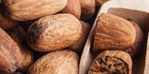 Nutmeg Oil