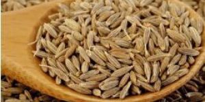 Coriander Seed