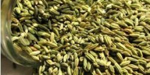 Fennel Seed