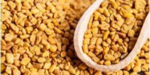 Fenugreek Seed