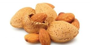 Almond California Paper Shell