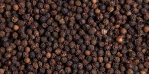 Black Pepper