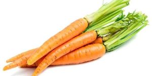 Fresh Carrots