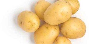 Fresh Potatoes