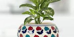 Green Indoor Ceramic Planter