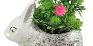 Indoor Ceramic Planter