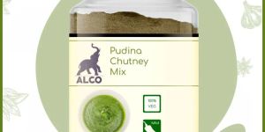 Pudina Chutney Mix
