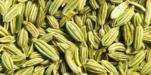 Fennel Seeds