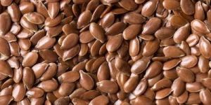 Flax Seeds