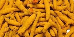 Turmeric Finger