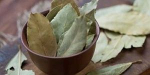 Bay Leaves