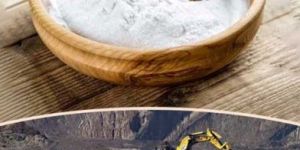 Premium Mining Grade Guar Gum Powder