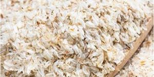 Psyllium Husk