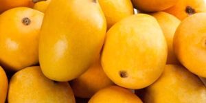Fresh Alphonso Mango