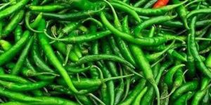 frozen fresh green chilly