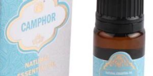 Camphor Essential Oil