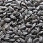 Natural Sun Flower Oil