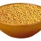 natural yellow mustard oil