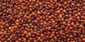 Kudrat Natural Arhar Seed