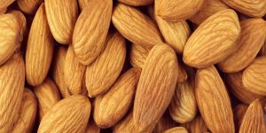 Organic Almond Nut