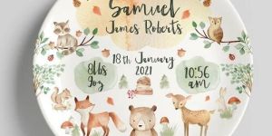 Sublimation Blank Ceramic Plate