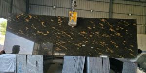 Fish Gold Granite