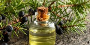 Juniper Oil