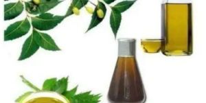 Neem Oil