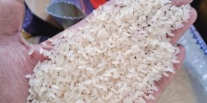 Broken IR 64 Parboiled Rice