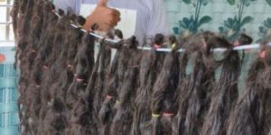 Human Hair Raw Material