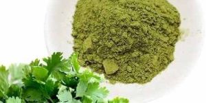 Dried Coriander Leaves Powder