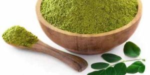 Dried Moringa Leaf Powder