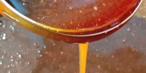 Raw Wild Forest Honey