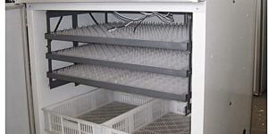 1500 Eggs Hatchery Machine