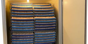 3000 Eggs Hatchery Machine