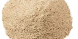 Boswellia Powder Extract