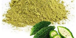 Spray Dried Bitter Gourd Powder