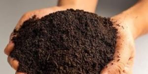 Organic Fertilizer Bio Compost