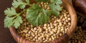Coriander Whole Seed
