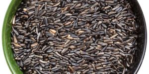 Niger Seeds