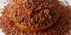 Red Rice