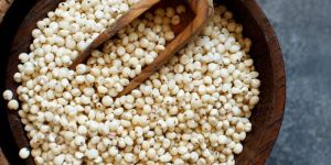 Sorghum Whole