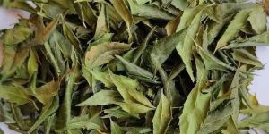 Dried Neem Leaves