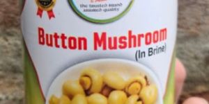 Button Mushroom