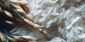 Ir 64 Parboiled Rice