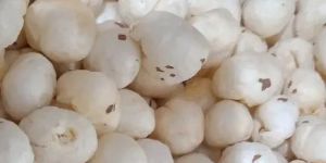 Special Phool Makhana