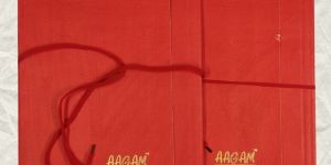 Four Flapper Cloth File