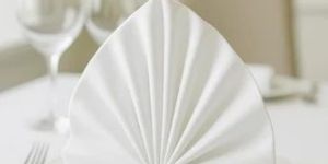 Cotton Table Cloth Napkin