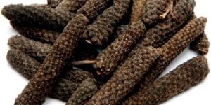 Organic Long Pepper